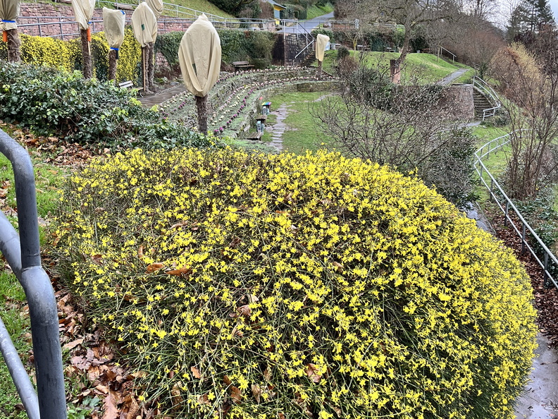 23-01-09 14-50-10 3883